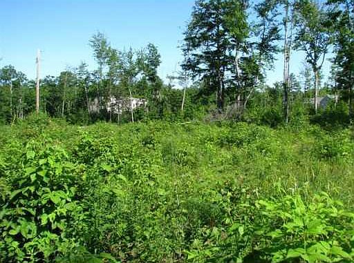 3rd image of 0 Wood Acres Road