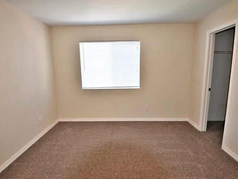 11426 Wigeon Way — Photo 8
