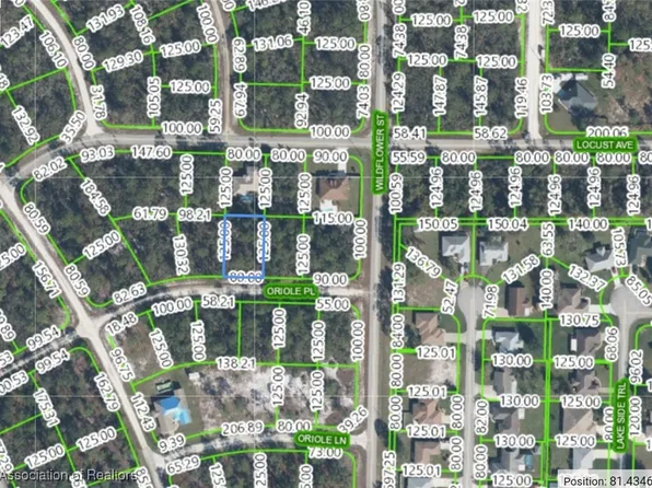 3215 Oriole Pl, Lake Placid, FL 33852