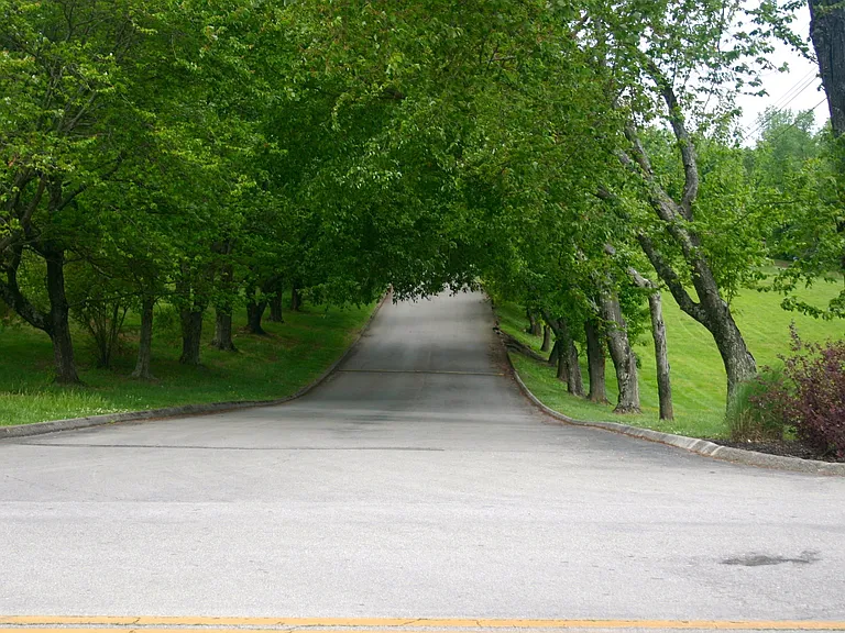 Long peaceful entry drive