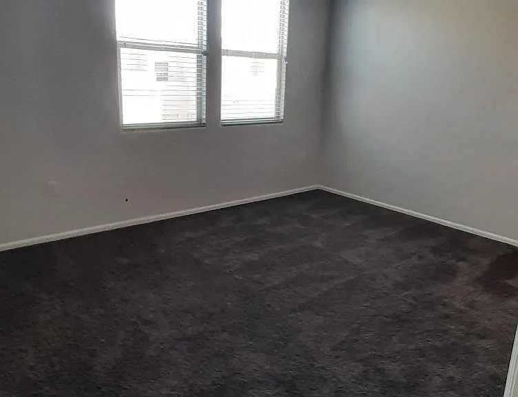 4296 Nambe Ct — Photo 18