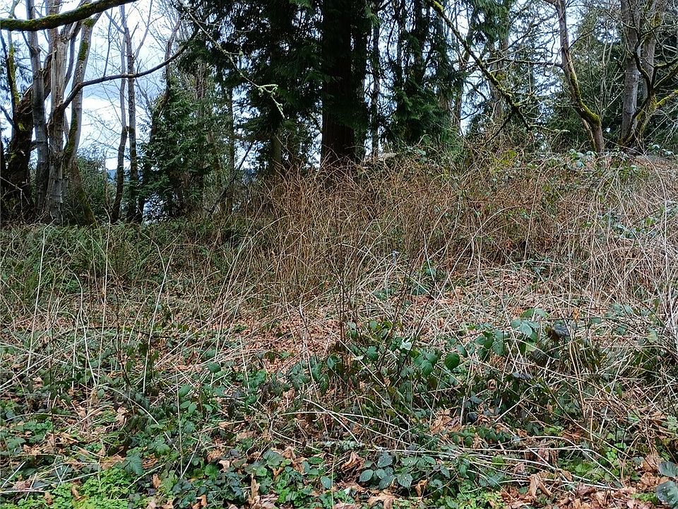 2nd image of 111 M Crest Place