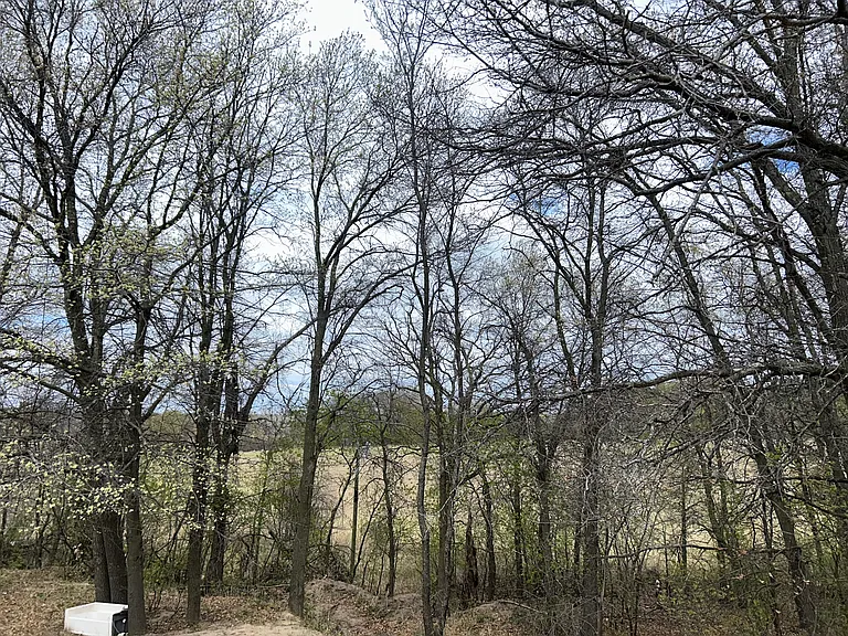 3874 Olsons Rd NW — Photo 21