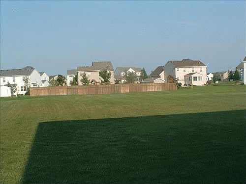 View of backyard