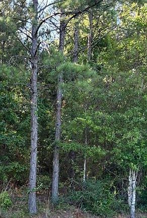 2nd image of 211 Wainwright Rd #3