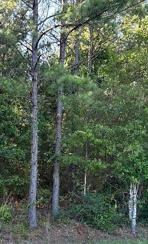 2nd image of 211 Wainwright Rd #3