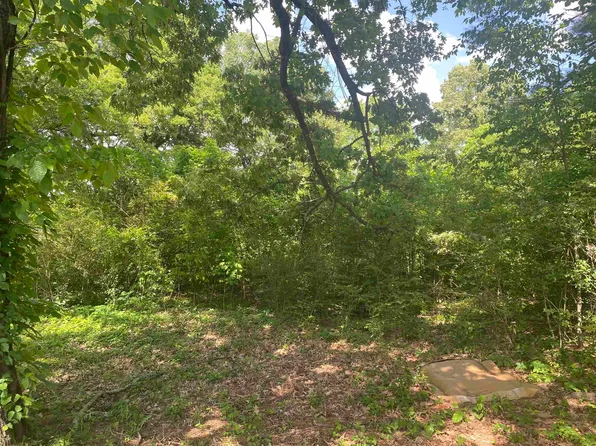 Morrow Dr, Paragould, AR 72450