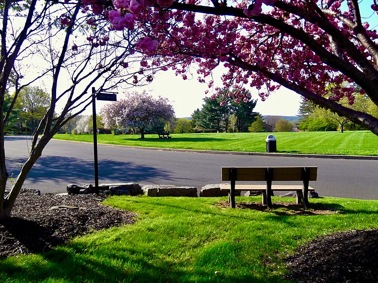 12A Darien #A-V2 — Photo 29