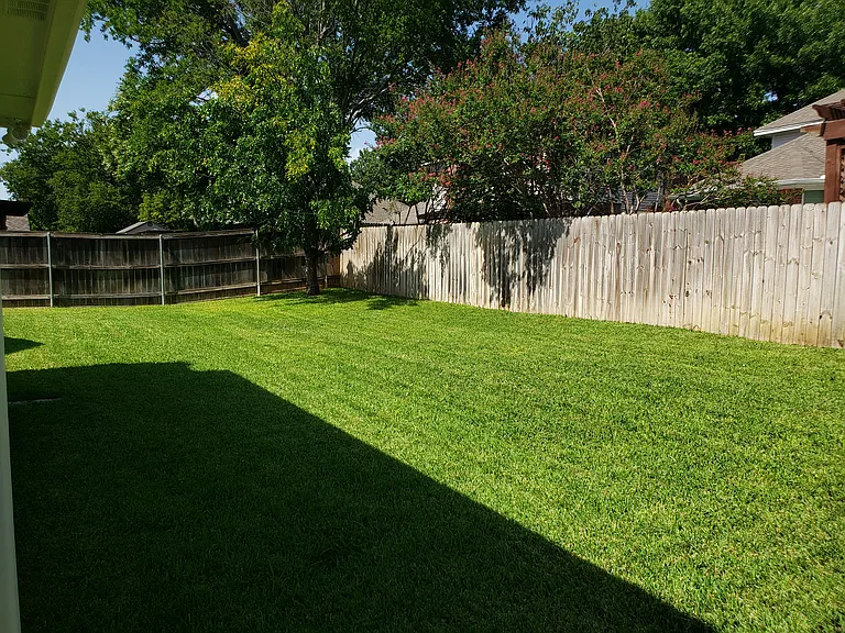 Back Yard facing toward date tree 7/20/2026