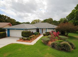 3266 Skene Ter, Palm Harbor, FL 34684