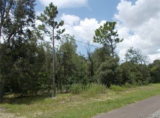 269 E Lancaster St, Lecanto, FL 34461