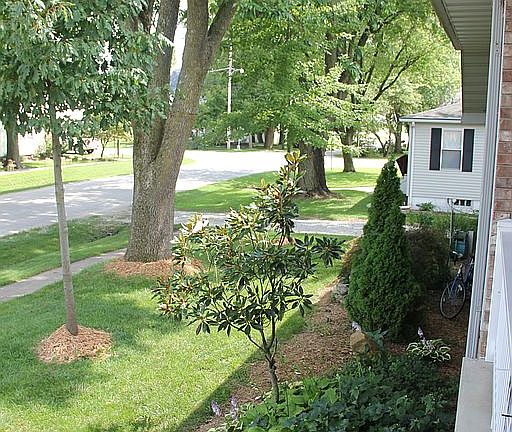 Exterior View from Porch