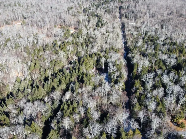 139 Woodland Trail, East Jewett, NY 12424