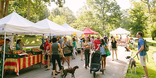 Rented by Manhattan Management LLC