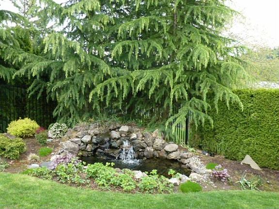 Water Garden
