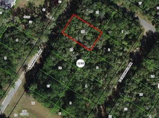 10075 N BAMBOO WAY LOT 20, CITRUS SPRINGS, FL 34434