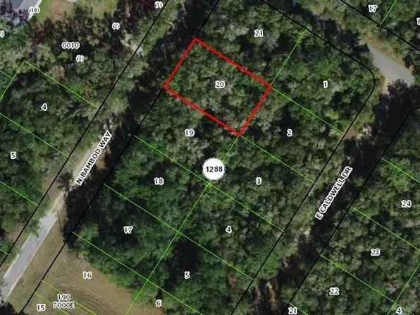 10075 N BAMBOO WAY LOT 20, CITRUS SPRINGS, FL 34434