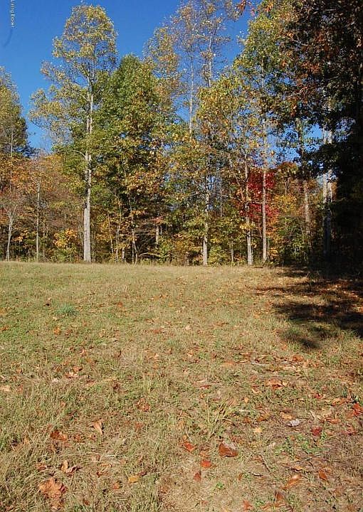 Farm Pictures 208