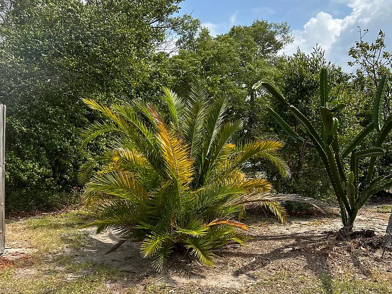 1546 Belleair Rd — Photo 11
