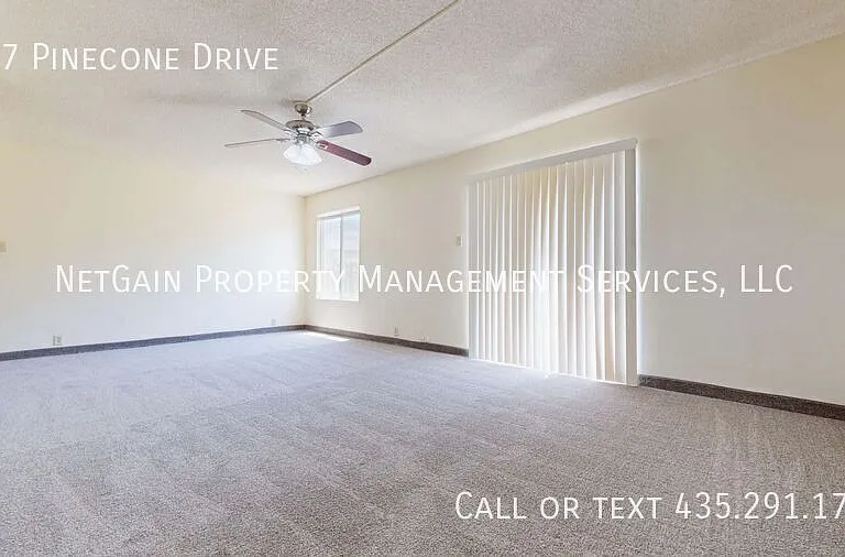 357 Pinecone Dr — Photo 3