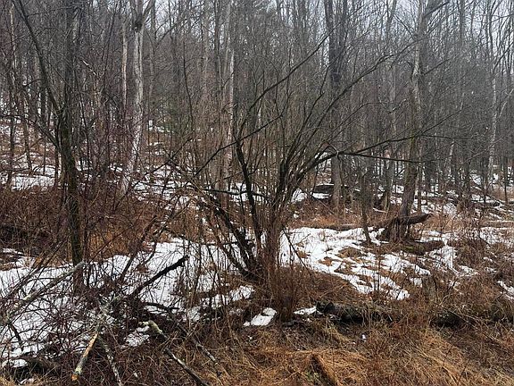 5th image of 922 Hawk Rd