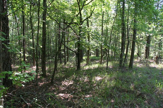 2nd image of 382 Sprouse Rd