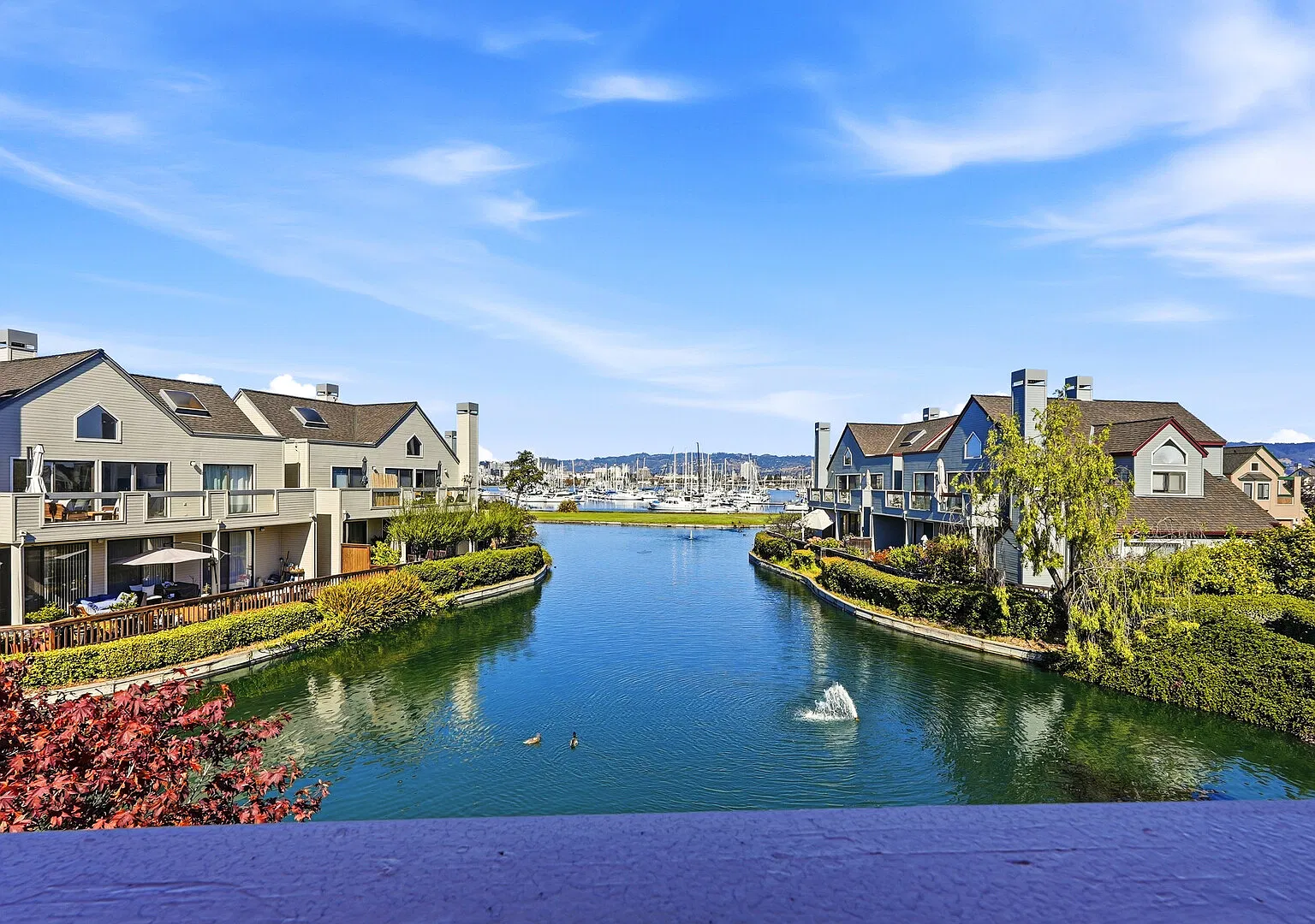Waterfront Lagoon Views | King Suite, Pool & Ferry — Photo 1