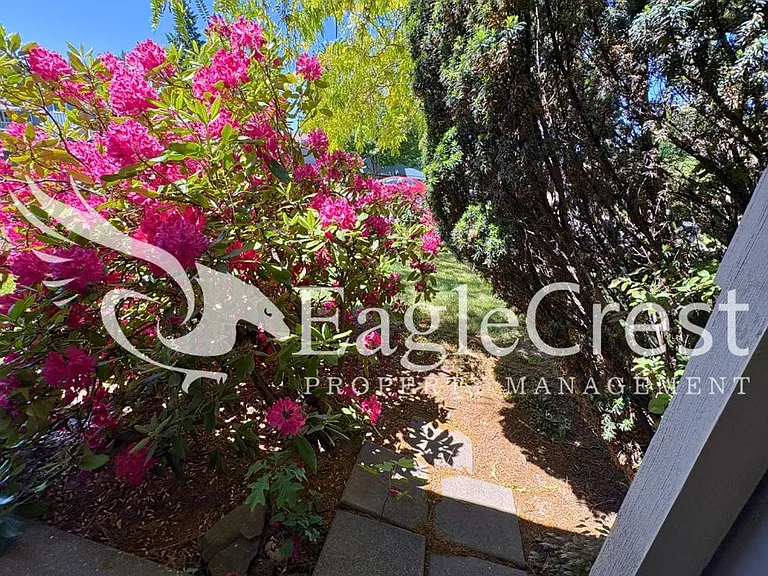 924 Shasta Dr — Photo 14