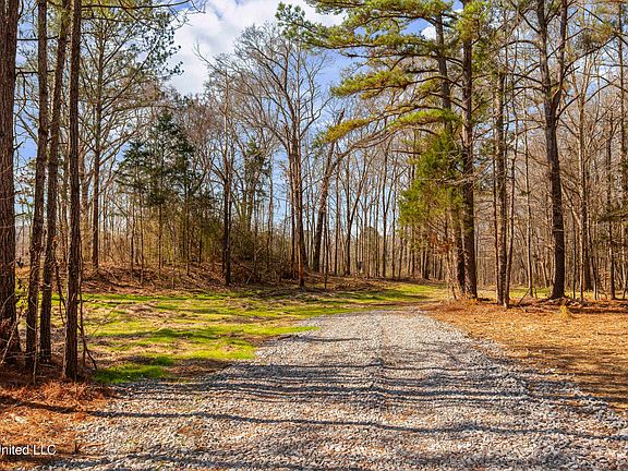 5th image of 186 Potluck Rd