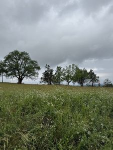 1551 E Stewarts Ln Lot 10, Nashville, TN, 37218