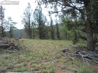 2572 Yorktown Dr, Cripple Creek, CO 80813