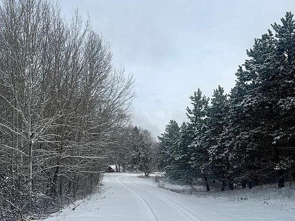 2nd image of 29284 McHugh Rd