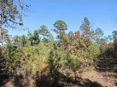 Old Preston Rd, Booneville, AR, 72927