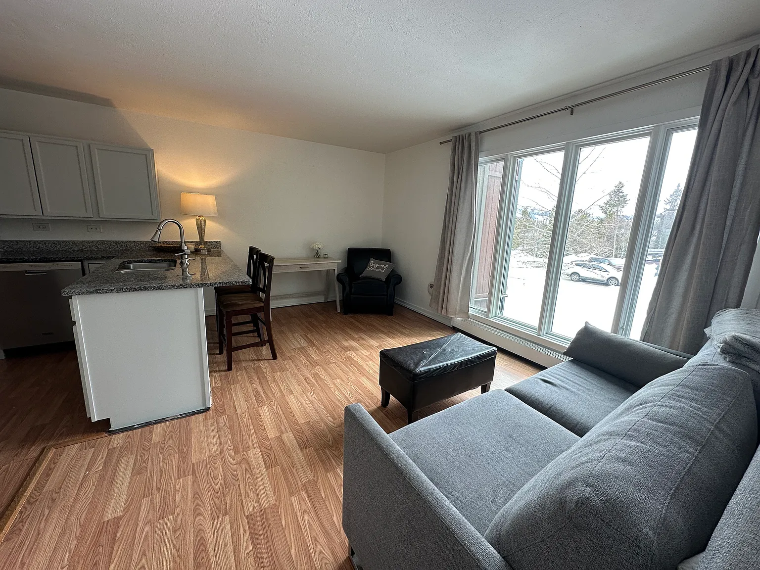 1 bed, 476 sqft, $2,100 — Photo 3