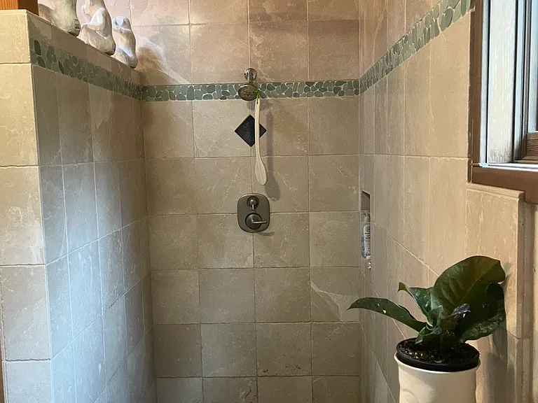 Main shower with rainforest shower head