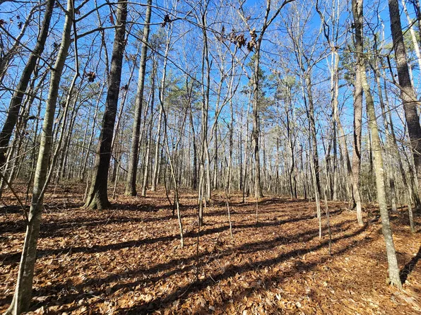 3 Woodfern Ln Lot Sw-1e, Coalmont, TN 37313