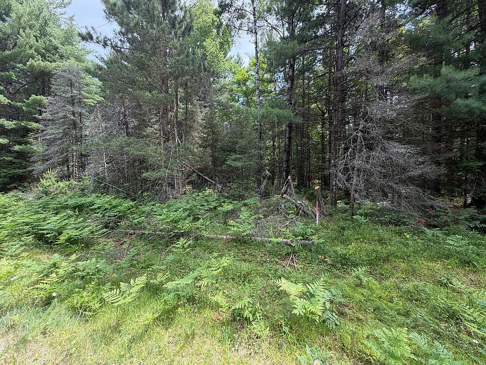 2nd image of LOT 2 Watersmeet Lake Rd