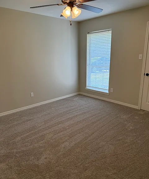 3203 Acacia Dr — Photo 16