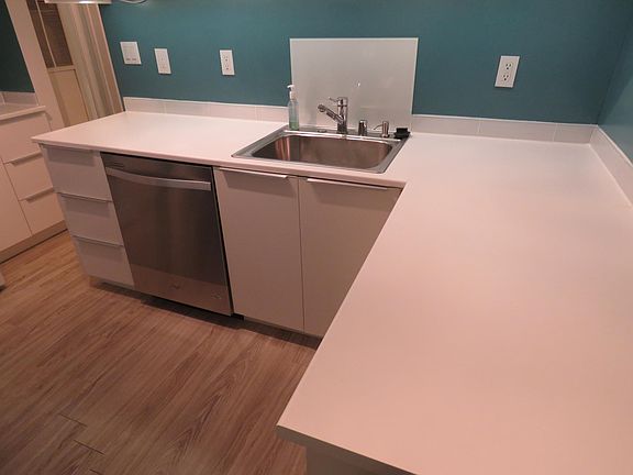 Dishwasher and garbage disposal
