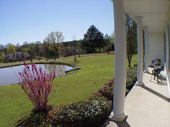 2nd image of 12820 Pine Crest Dr