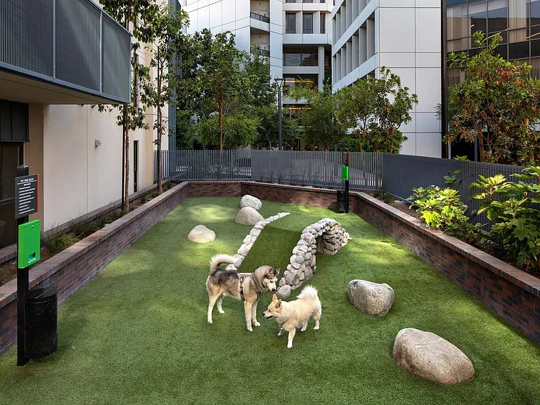 Pet Park