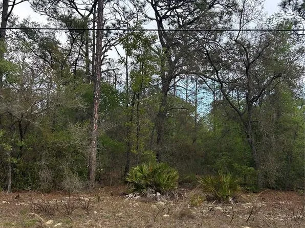 742 E Weldon Ln Lot 3, Dunnellon, FL 34434
