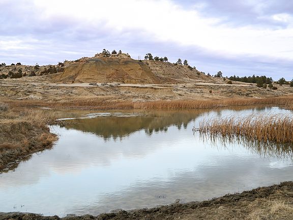 5th image of 5130 Pineview Rd