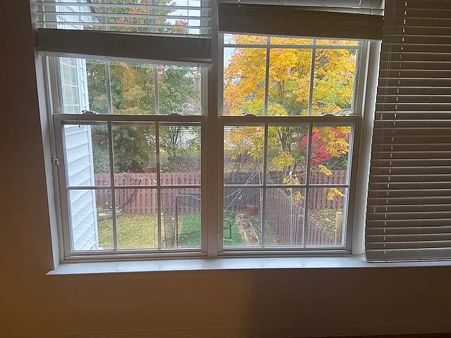 Back yard view