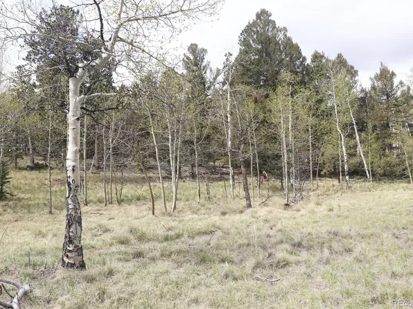 2235 Windmill Drive LOT 1318, Hartsel, CO 80449