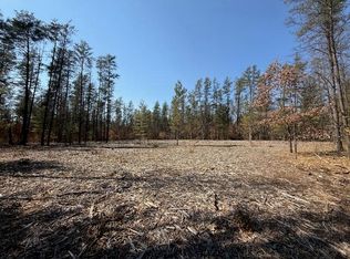 5209 S Nelson Rd, Idlewild, MI