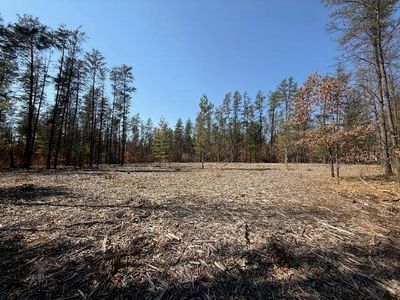 5209 S Nelson Rd, Idlewild, MI, 49642
