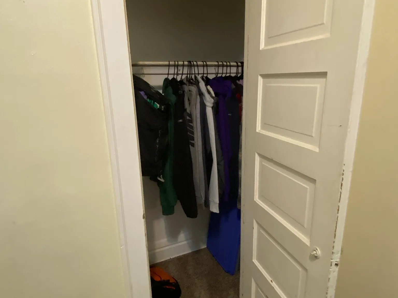 1 bed, $1,150 — Photo 3