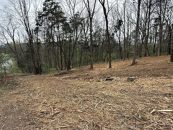 4th image of 0 Saddle Ln