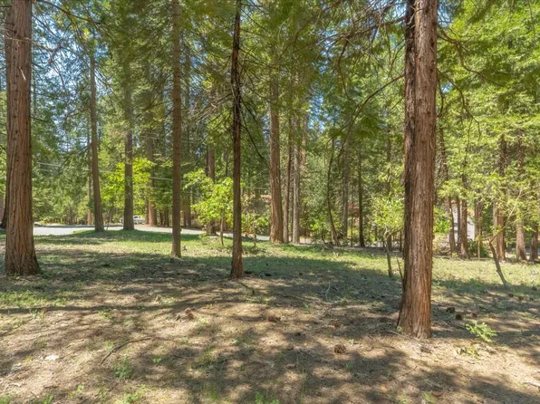 1621 Rawhide Dr, Arnold, CA 95223